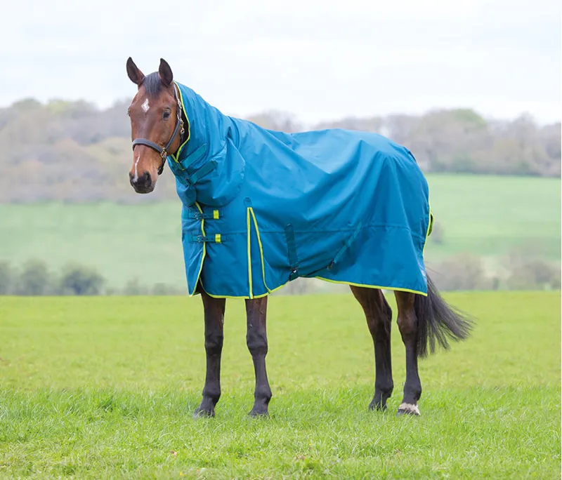 Bridleway Ontario Combo 100g Medium/Light Turnout Rug Teal/Lime